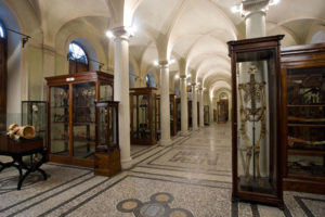 Museo di Antropologia criminale Cesare Lombroso
