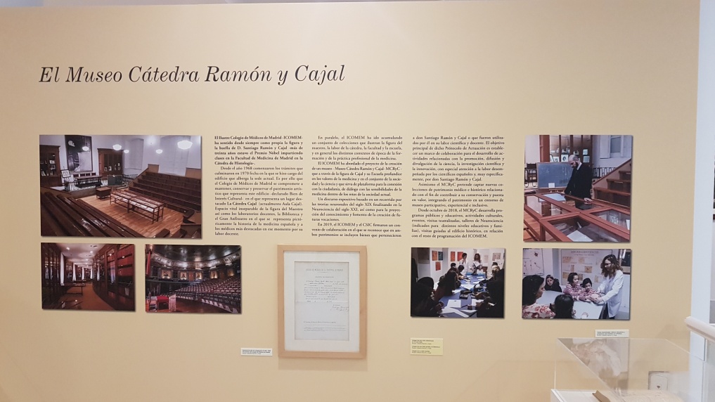Exposición de Cajal en el Colegio de Médicos